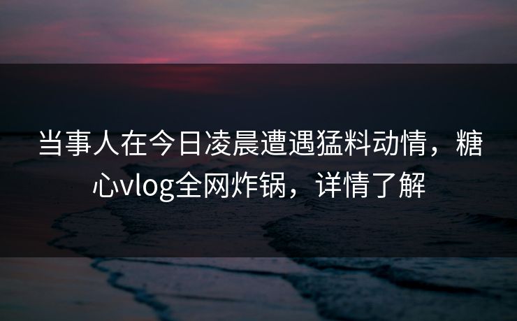 当事人在今日凌晨遭遇猛料动情，糖心vlog全网炸锅，详情了解