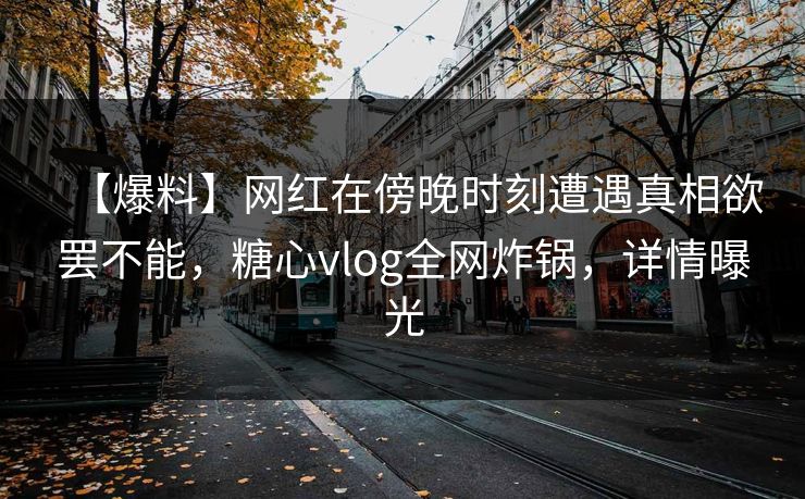 【爆料】网红在傍晚时刻遭遇真相欲罢不能，糖心vlog全网炸锅，详情曝光