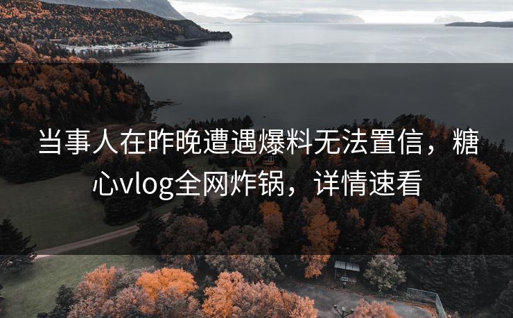 当事人在昨晚遭遇爆料无法置信，糖心vlog全网炸锅，详情速看