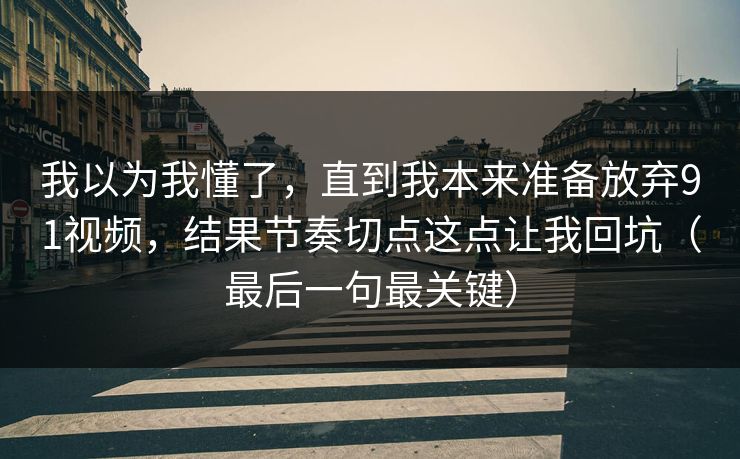 我以为我懂了，直到我本来准备放弃91视频，结果节奏切点这点让我回坑（最后一句最关键）